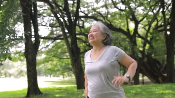 Asiatisk Äldre Kvinna Som Motionerade Parken Hon Log Glatt Begreppet — Stockvideo
