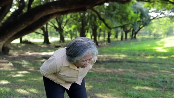 Asian Elderly Woman Severe Abdominal Pain Concept Illness Elderly Gastrointestinal — Stock Video