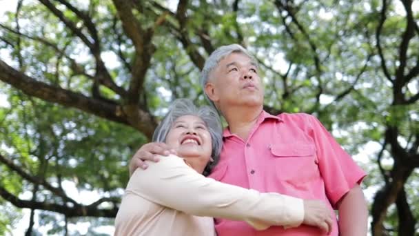 Asian Elderly Couple Hugging Each Other Garden Smile Enjoy Life — Wideo stockowe