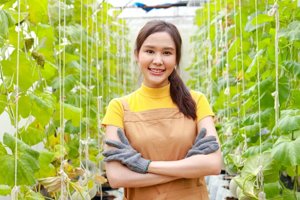 Hermosa Mujer Asiática Que Cultiva Agricultura Cultiva Melones Japoneses Melones —  Fotos de Stock