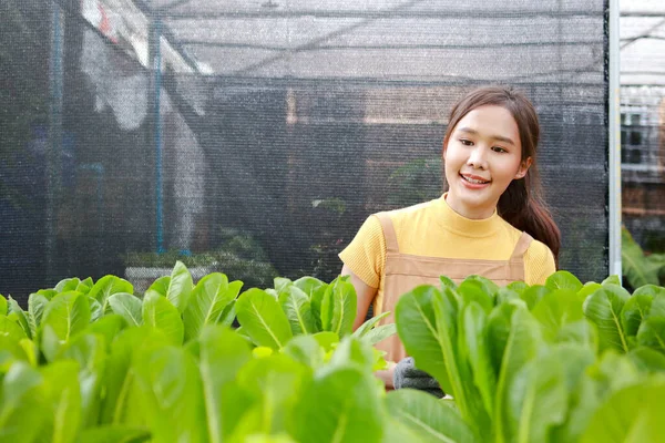 Mooie Aziatische Vrouw Die Verse Biologische Groenten Verbouwt Inspectie Van — Stockfoto