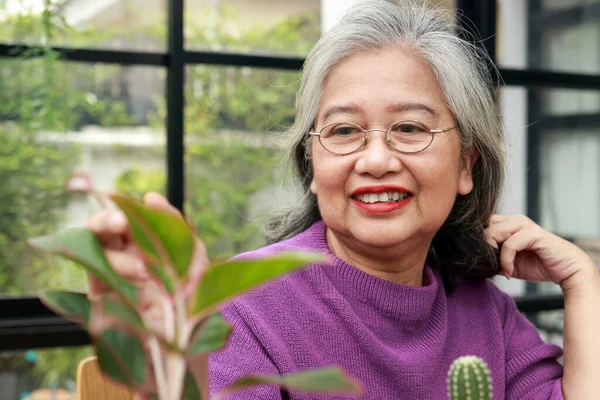Asijská Starší Žena Žijící Doma Šťastně Usmála Zasazovala Stromy Starala — Stock fotografie