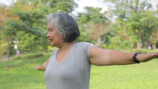 Asyalı Yaşlı Kadınlar Sabah Parkta Dışarıda Egzersiz Yaparlar Emeklilik Yaşındakiler — Stok video