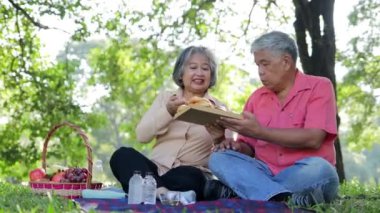 Yaşlı Asyalı çiftler parkta piknik yaparlardı çimlerin üzerinde otururlardı ve yanlarında meyve ve ekmek sepetleri olurdu. Onlar tatillerinin tadını çıkarıyorlar. Mutlu olmak için emeklilikte yaşamak..