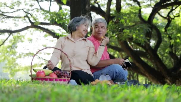 Asian Elderly Couple Picnic Park Sat Grass Had Baskets Fruit — Stock Video