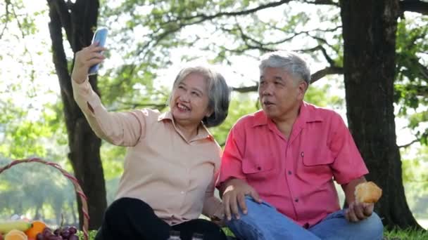 Asyalı Yaşlı Bir Çift Parkta Piknik Yapıyor Çimlerin Üzerinde Oturmuş — Stok video
