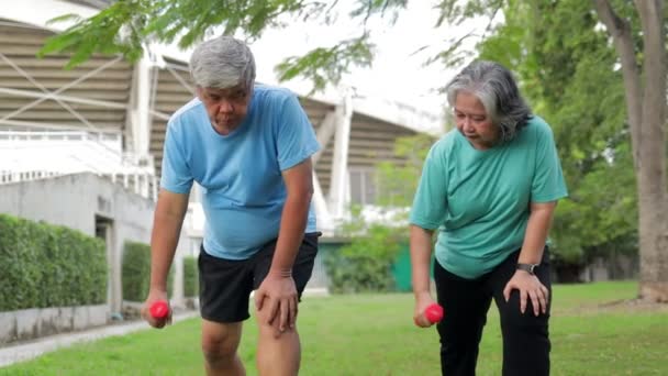 Asyalı Yaşlı Çift Dışarıda Birlikte Egzersiz Yapıyor Kol Kaslarını Geliştirmek — Stok video