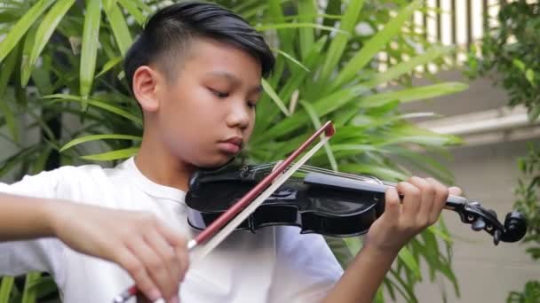 Азиатский Мальчик Сидит Играет Скрипке Классическом Инструменте Саду Дома Концепция — стоковое видео