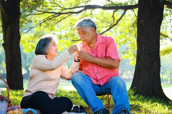Азиатская Пожилая Пара Устраивает Пикник Парке Сидя Траве Счастливо Разговаривая — стоковое фото
