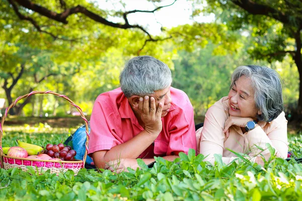 Азиатская Пожилая Пара Устраивает Пикник Парке Лежа Траве Счастливо Разговаривая — стоковое фото