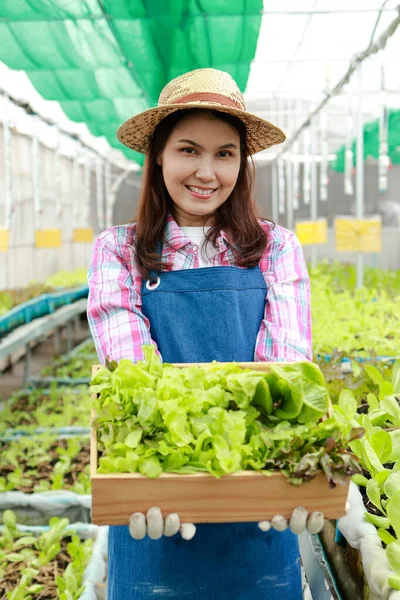 Portré Egy Ázsiai Női Gazdáról Aki Egy Fadoboznyi Zöld Salátát — Stock Fotó