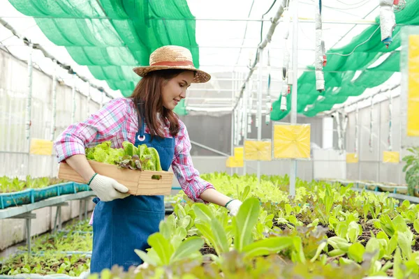 Retrato Una Agricultora Asiática Sosteniendo Una Caja Madera Lechuga Verde —  Fotos de Stock