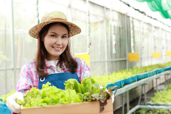 Retrato Una Agricultora Asiática Sosteniendo Una Caja Madera Lechuga Verde —  Fotos de Stock