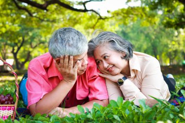 Asyalı yaşlı bir çift parkta piknik yapıyor, gülümsüyor, hayattan zevk alıyor. yaşlı sağlık hizmetleri kavramı