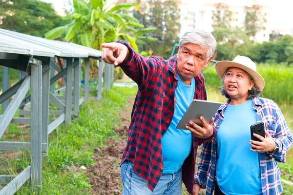Asian elderly farmer holding a tablet Used to control the solar panel. to use electricity in agriculture. Solar system. concept of using modern agricultural technology