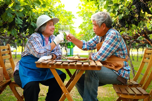 Пожилая Пара Работающая Ферме Производящая Виноградное Вино Сидя Деревянным Столом — стоковое фото