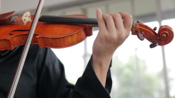 Азиатские Мужчины Играют Скрипке Классическом Инструменте Наслаждался Игрой Акустической Музыки — стоковое видео