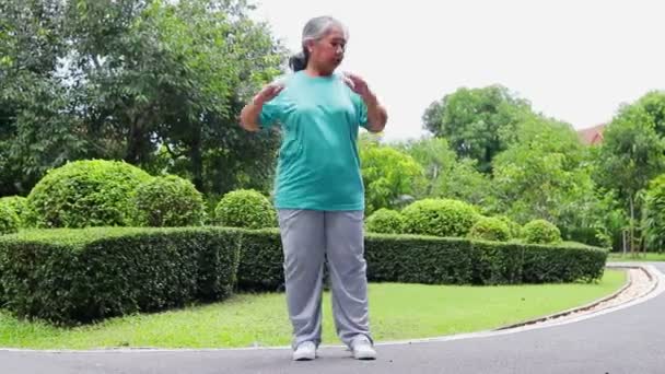 亚洲老年妇女笑着 快乐地在公园里锻炼 体育概念 退休时保持健康 — 图库视频影像