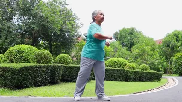 Wanita Tua Asia Tersenyum Bahagia Dan Menikmati Berolahraga Taman Konsep — Stok Video