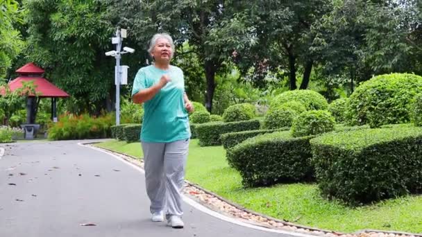 年长的女人笑着 享受运动 长老们在公园里慢跑 退休时保持健康的保健概念 — 图库视频影像
