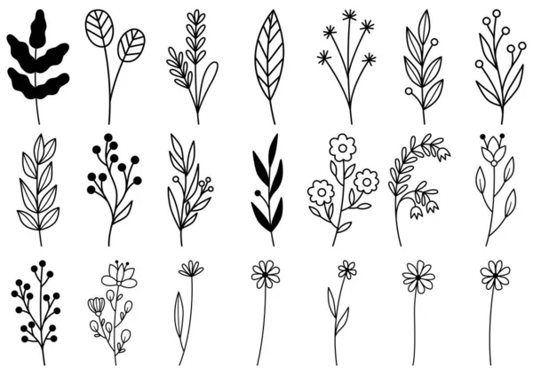 0035 Handgezeichnetes Blumen Doodle — Stockvektor