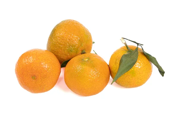 Several Clementines Close Table — Stock Photo, Image