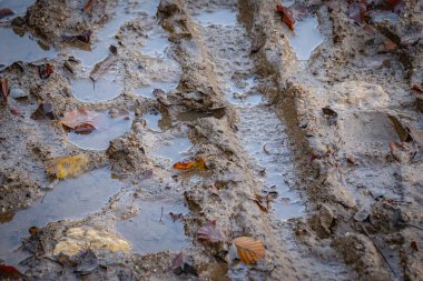 Yerde çamur var. Yaklaş.