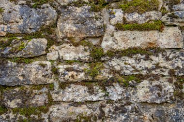 Bir tuğla duvarı kapat.