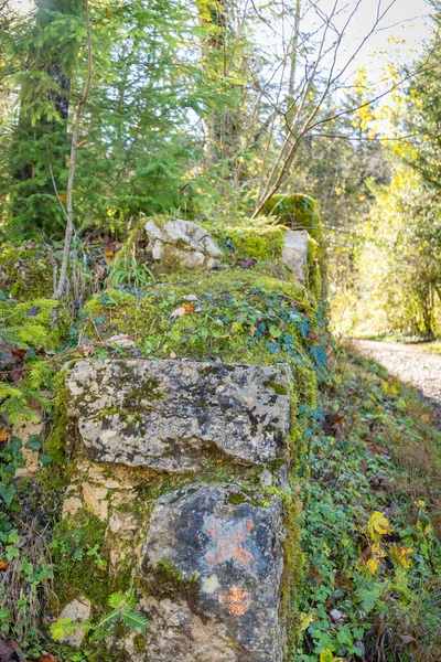 Πέτρινος Τοίχος Βρύα Στο Δάσος — Φωτογραφία Αρχείου