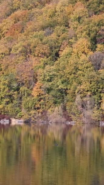 Vedere Lacului Bonlieu Masivul Jura — Videoclip de stoc