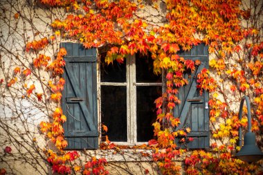 Turuncu sarmaşıklı bir evi kapatın.
