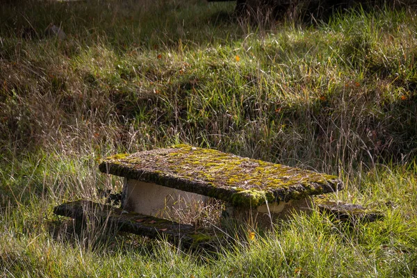 苔で覆われたピクニックテーブル — ストック写真