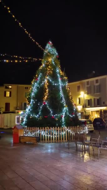 モミの木が12月の夜広場にライトアップされ — ストック動画