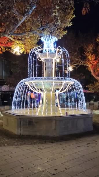 ヴェゾン ロメインのモンフォール広場の噴水の照明 — ストック動画