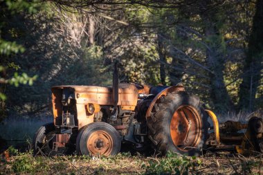 Eski bir traktör, bir ormanda yakın plan.