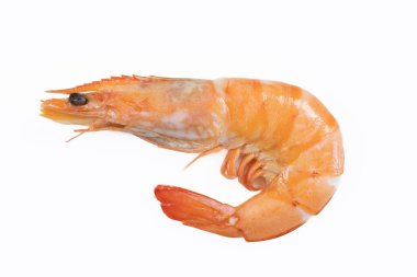 Pişmiş karidesler, yakın plan, beyaz arka planda izole edilmiş.