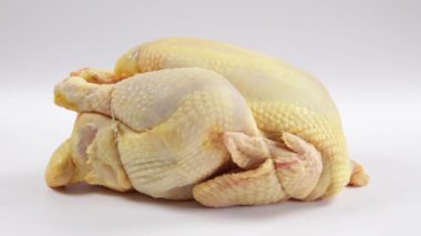 capon yakın plan, beyaz arkaplanda izole