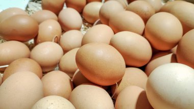 Çiğ yumurta yığını. Yakın çekim.