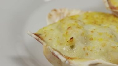 scallop shell in a white plate