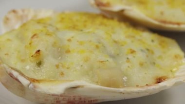 scallop shell in a white plate
