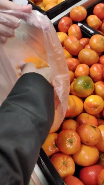 Close Person Putting Clementines Bag — 비디오