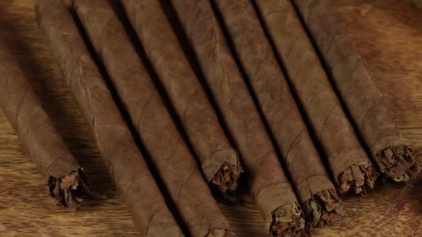 Cerrar Los Cigarros Una Caja — Vídeo de stock