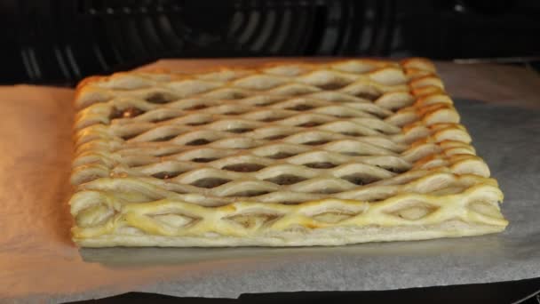 Ciasto Francuskie Grzybami Zbliżenie Talerzu — Wideo stockowe