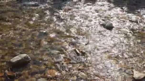 Ρέμα Ποταμού Κοντά — Αρχείο Βίντεο