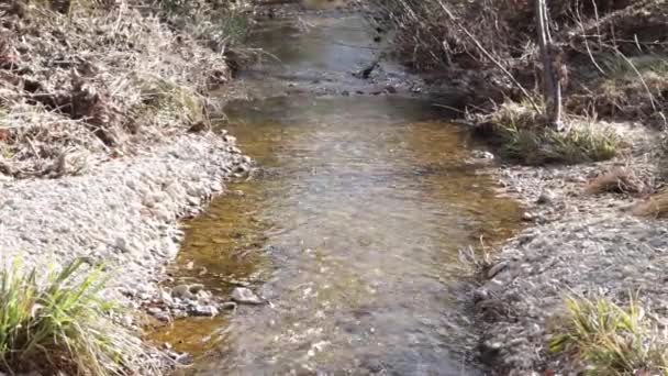 法国南部的一条小河 — 图库视频影像