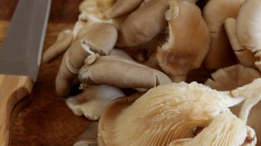 İstiridye mantarı, yakın plan, masanın üstünde.