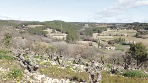 Landschaft Aus Weinbergen Und Feldern Südfrankreich — Stockvideo