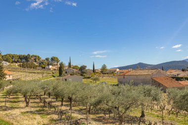 Rasteau köyü (Vauluse, Fransa)