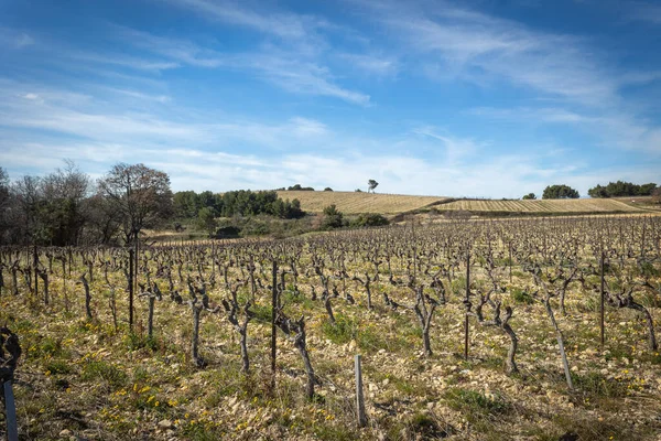 Vinfält Landsbygden Runt Byn Rasteau Vauluse Frankrike — Stockfoto