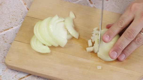 Onion Cut Pieces Cutting Board — Stock Video